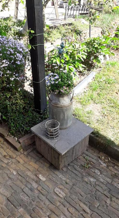 Apartament Anneke'S Bed En Botterhammeke Woensdrecht Zewnętrze zdjęcie