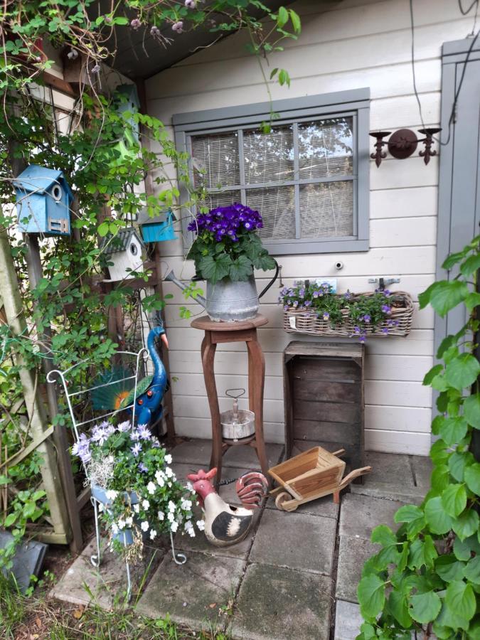 Apartament Anneke'S Bed En Botterhammeke Woensdrecht Zewnętrze zdjęcie