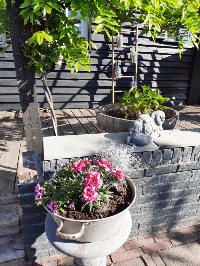 Apartament Anneke'S Bed En Botterhammeke Woensdrecht Zewnętrze zdjęcie