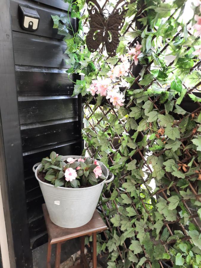 Apartament Anneke'S Bed En Botterhammeke Woensdrecht Zewnętrze zdjęcie